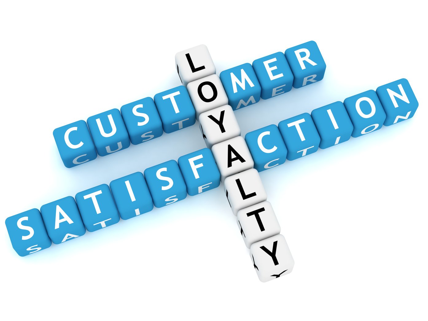 Customer satisfaction loyalty survey feedback